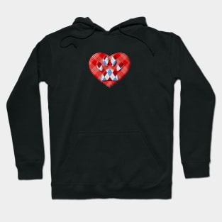 Dog Paw Print And Red Heart Drawing Hoodie